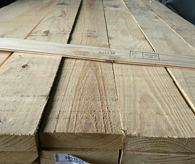 坡头阿根廷松木